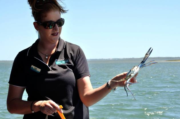 16665204_1263722280379789_5044182189861208738_o