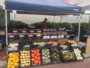 17388769_348759548852927_1313161483239164769_o