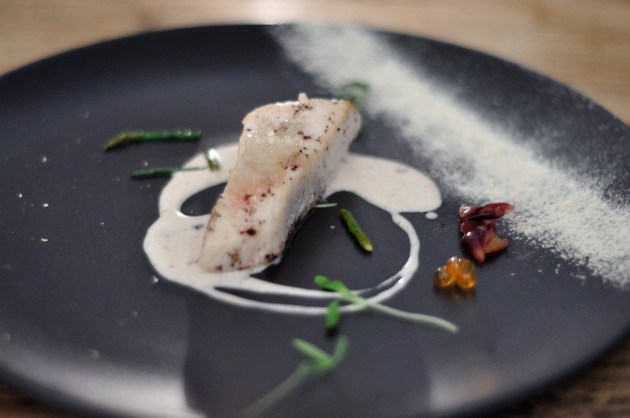 17835019_1326554337429916_5568950753217754194_o