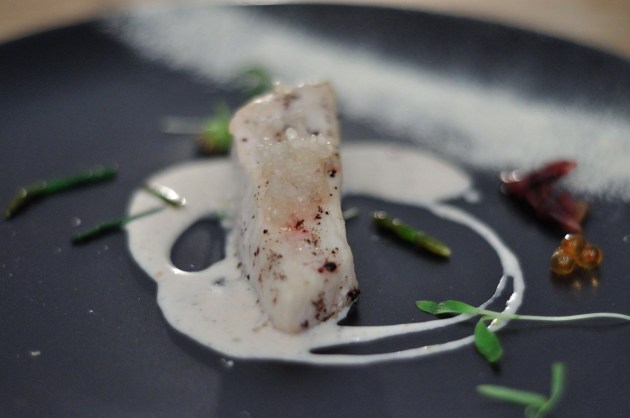 17854709_1326554360763247_7427028836639933562_o