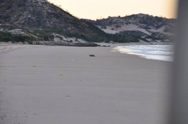 18121256_10154373081436456_3247307514845661420_o