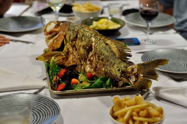 18156581_10154373173321456_3699991997185173845_o