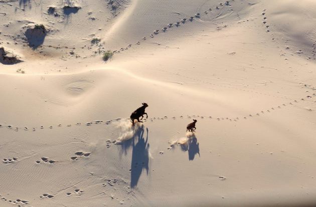 18156645_10154381493526456_6584696722463052616_o