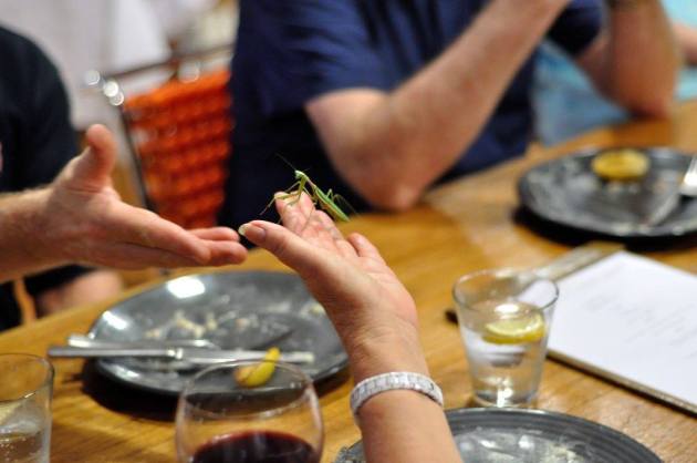 18156660_10154373173276456_1377402004680257693_o