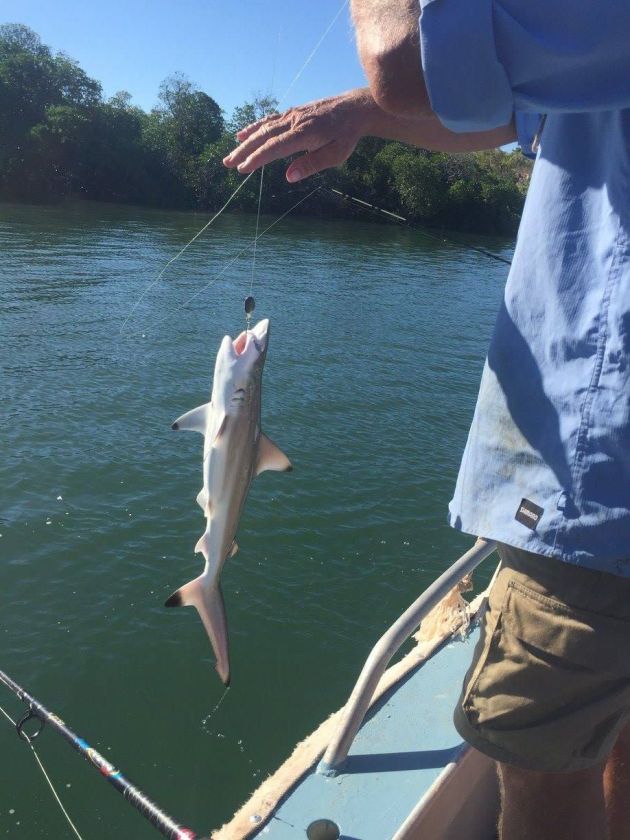 18156824_10154373242241456_5591893393626476494_o