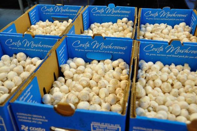 20728780_10154686131651456_8684597958548124281_o