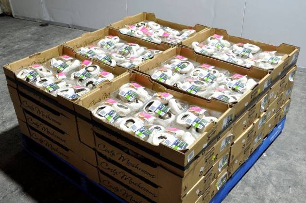 20728974_10154686129611456_4232322593752986357_o