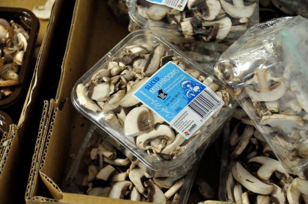 20746263_10154686130441456_1494000266721705890_o