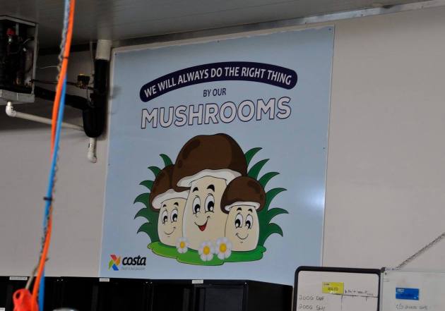 20747953_10154686129396456_2254170231762146258_o