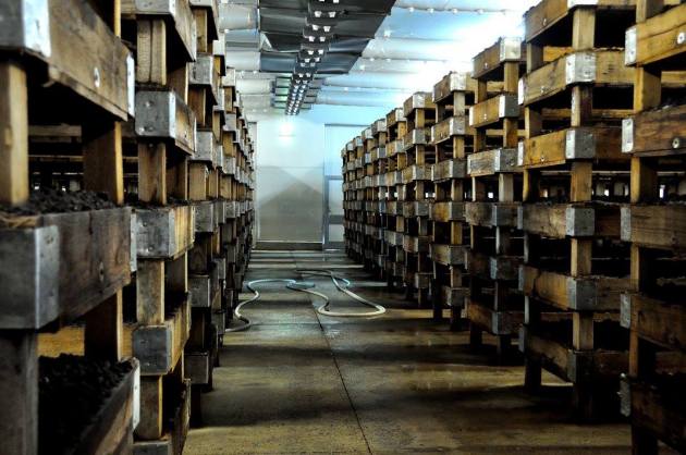 20748252_10154686094766456_7506216879719986069_o