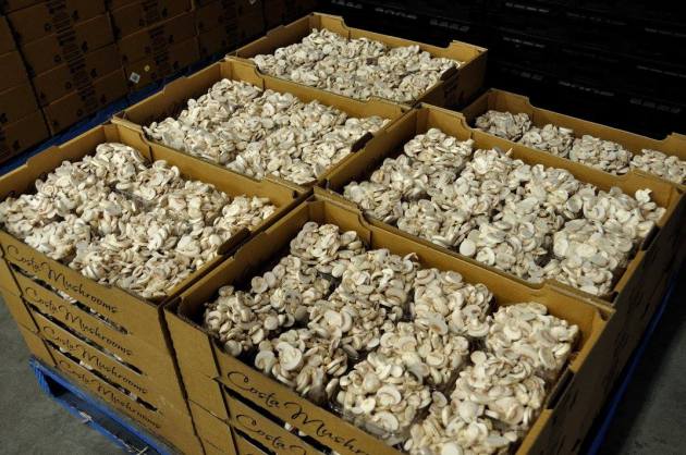 20785827_10154686131696456_5430944664469200932_o