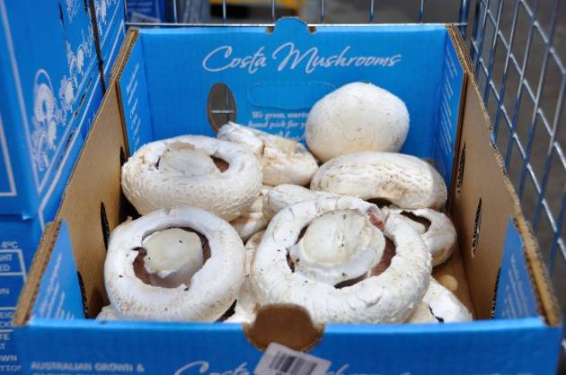 20786099_10154686129546456_971359614768332387_o