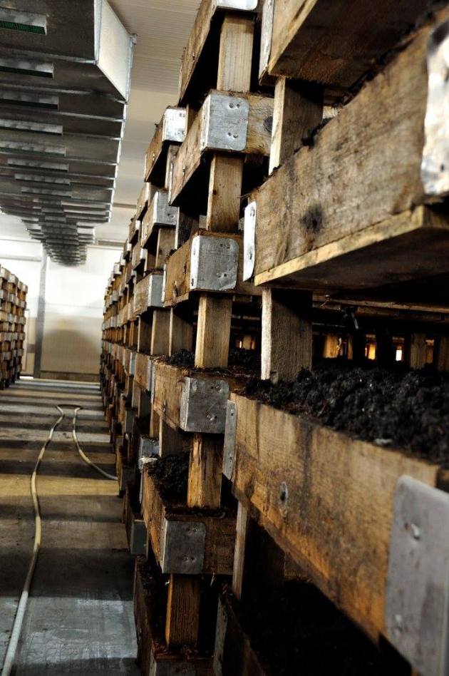 20818890_10154686094641456_3273250662517915152_o