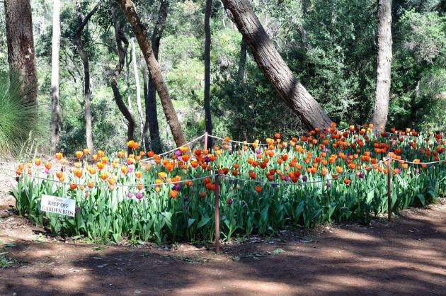 21125658_10154719557671456_1618519377419340_o