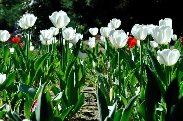 21246191_10154726537721456_3089590074949942397_o