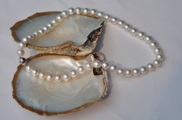 23926488_1544256492326365_5206286242363941135_o