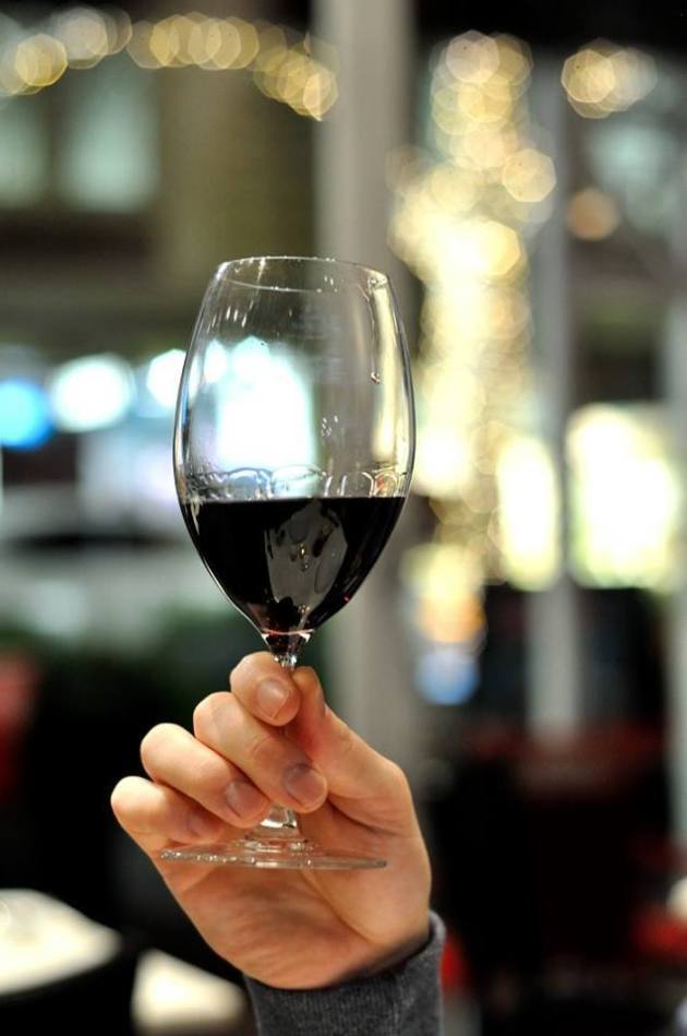 21430312_1472690539482961_4747498910811043167_n