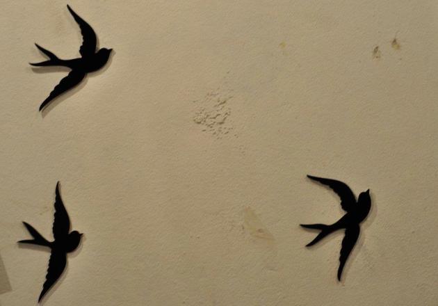 21083736_10154719258171456_7089692388287203494_o