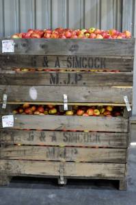 Genuinely Extraordinary Southern Forest Food & Farm Experience