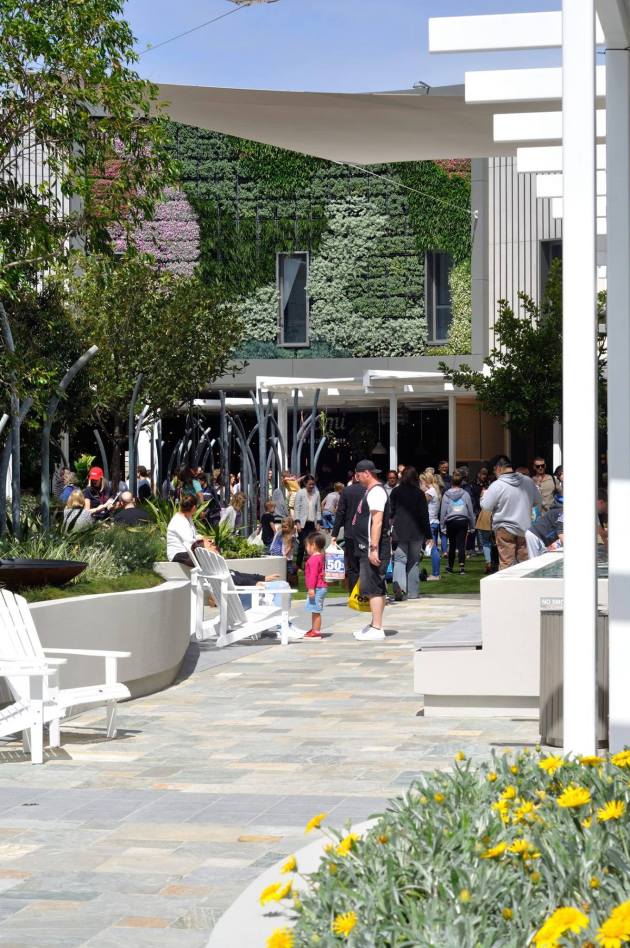 21950979_1486356861449662_7320986574282657607_o