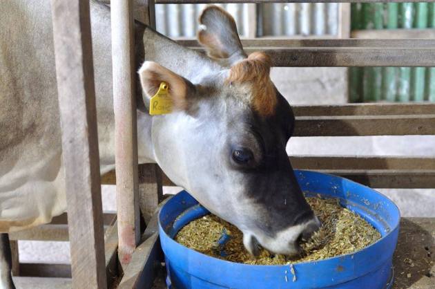 23736089_10154912727056456_4716586958862697765_o