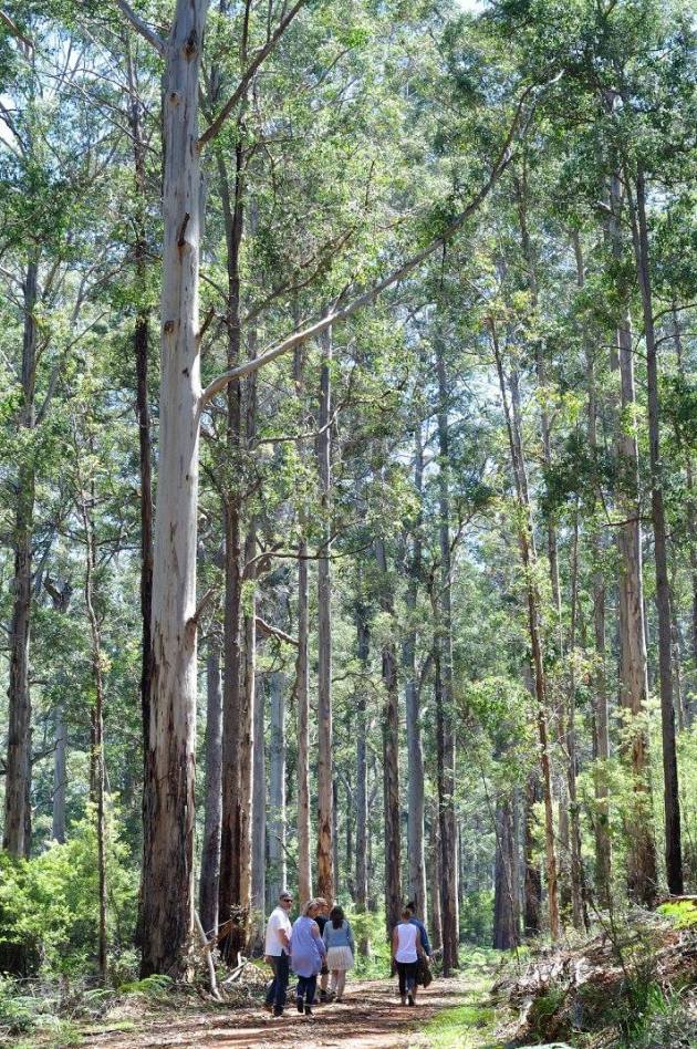 23737962_10154912727751456_2896314282197325109_o