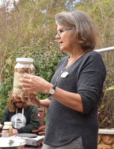 Short Street Kitchen