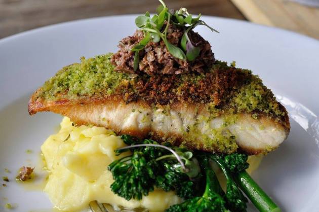 21551936_1475174889234526_7839061247601040207_o